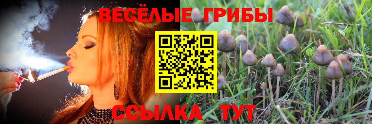 Кимовск  Галлюциногенные грибы Magic Shrooms  Вход с VPN 